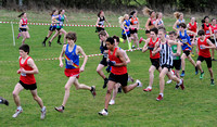 Hertfordshire County Cross Country Championships 2012  _ 174407