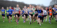Hertfordshire County Cross Country Championships 2012  _ 174320