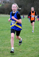 Hertfordshire County Cross Country Championships 2012  _ 174333
