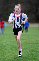 Hertfordshire County Cross Country Championships 2012  _ 174331