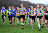 Hertfordshire County Cross Country Championships 2012  _ 174321