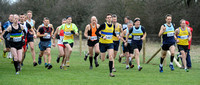 Hertfordshire County Cross Country Championships 2012  _ 173288