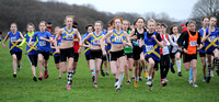 Hertfordshire County Cross Country Championships 2012  _ 174319
