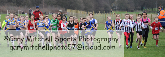 Hertfordshire County Cross Country Championships 2012  _ 174317