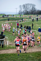Anna Boniface _ Senior Women's race _ ECCA 2016  _29245