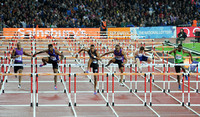110M HURDLES MEN HEAT A _ 176347