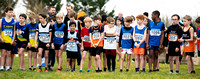 U11 Boys _ 86830