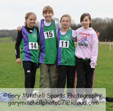 Hertfordshire County Cross Country Championships 2012  _ 173203
