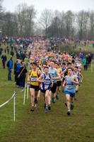 Joshua Dickinson (1880) _ Inter Counties 2017 _   214477