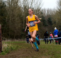 Bethany Cook (3103) _ Inter Counties 2017 _   214510