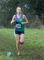 Hertfordshire County X Country Championships _ 31504