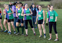Hertfordshire County X Country Championships _ 31511