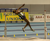 AAA Indoor Athletics Championships 2006