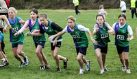 Hertfordshire County X Country Championships Photo Gallery 2006