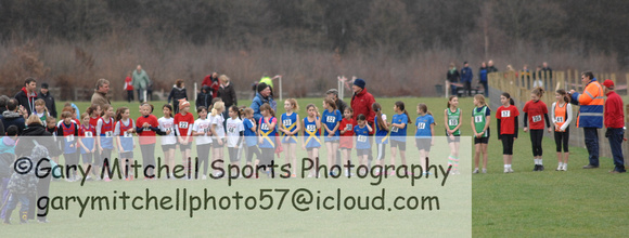 Hertfordshire County Cross Country Championships 2012  _ 174260