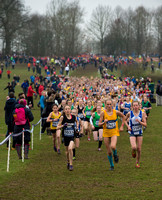 Bethany Cook (3103) _ Inter Counties 2017 _   214492