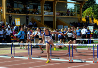 Hurdles _ 141695