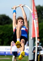 Pole Vault _ 141769