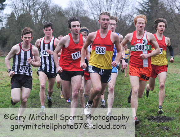 Herts County X Country 2014 _168064