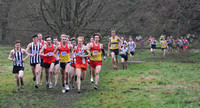 Herts County X Country 2014 _168051