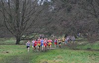 Herts County X Country 2014 _168048