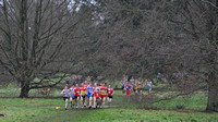 Herts County X Country 2014 _168047