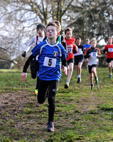 Herts County X Country 2014  _168209