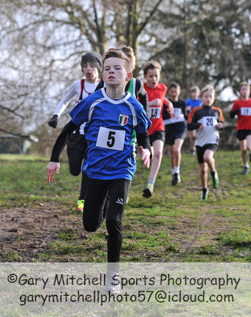 Herts County X Country 2014  _168209