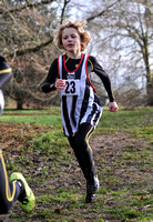 Herts County X Country 2014  _168205