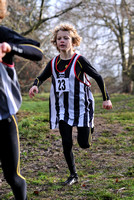 Herts County X Country 2014  _168204