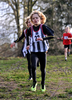 Herts County X Country 2014  _168203