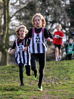 Herts County X Country 2014  _168201