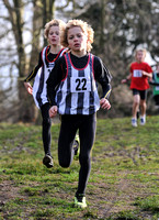 Herts County X Country 2014  _168202