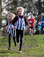 Herts County X Country 2014  _168200