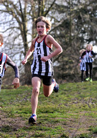 Herts County X Country 2014  _168198