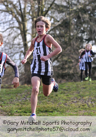 Herts County X Country 2014  _168198