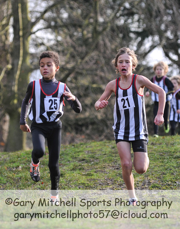 Herts County X Country 2014  _168194