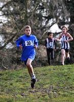 Herts County X Country 2014  _168190