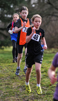 Herts County X Country 2014  _168302
