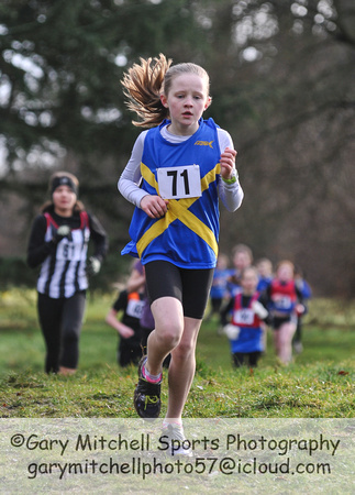 Herts County X Country 2014  _168298