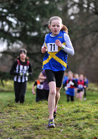 Herts County X Country 2014  _168299