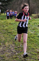 Herts County X Country 2014  _168297