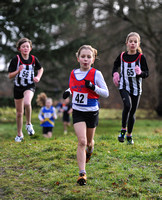 Herts County X Country 2014  _168295