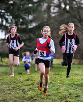 Herts County X Country 2014  _168294
