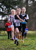 Herts County X Country 2014  _168286