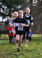 Herts County X Country 2014  _168285