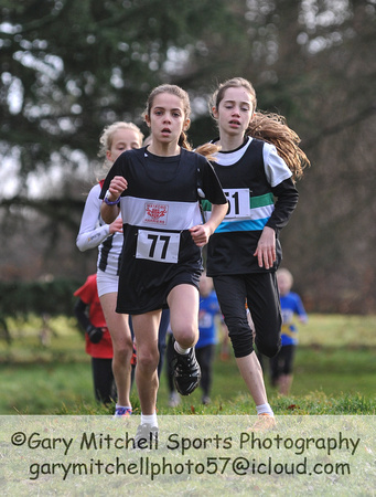 Herts County X Country 2014  _168284