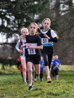 Herts County X Country 2014  _168283