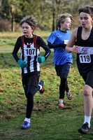 Herts County X Country 2014  _168362