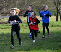 Herts County X Country 2014  _168357